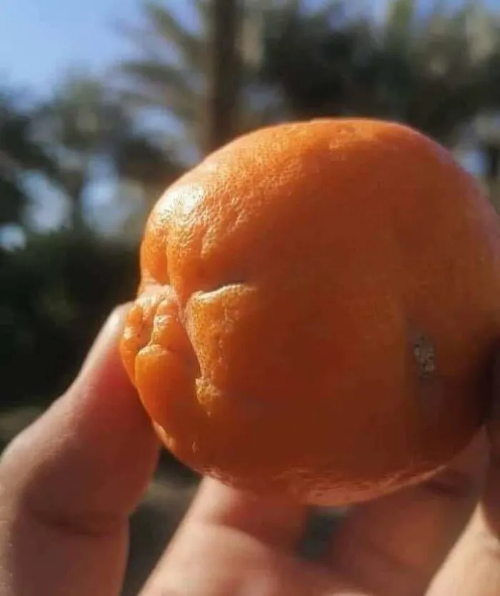 40 Of The Most Cursed Foods That Might Make Your Stomach Turn