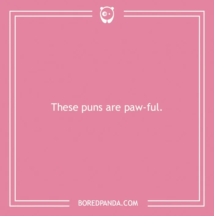 197 Funny Dog Puns to Honor the Pup-arazzi Worthy Furballs