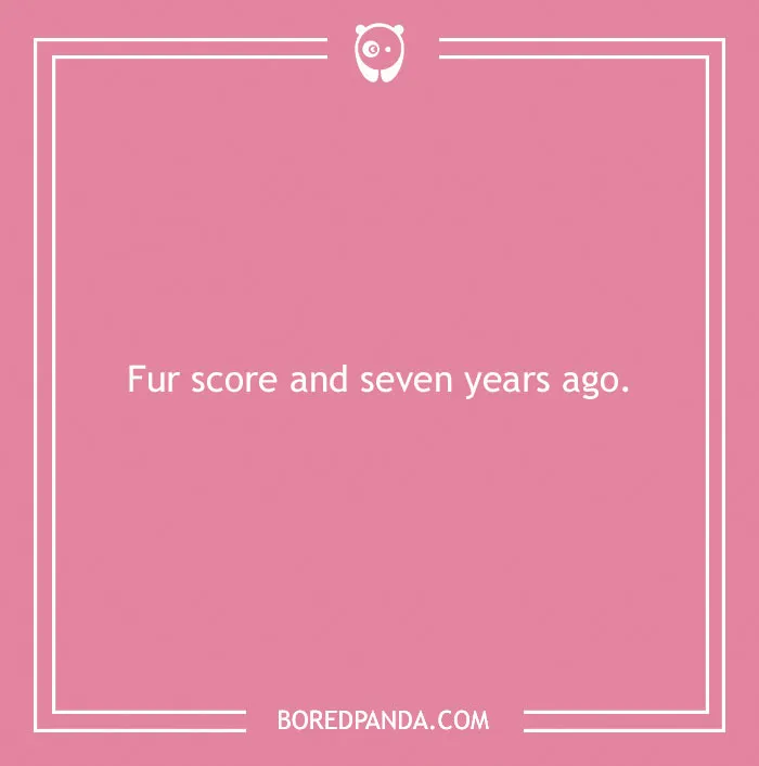 197 Funny Dog Puns to Honor the Pup-arazzi Worthy Furballs
