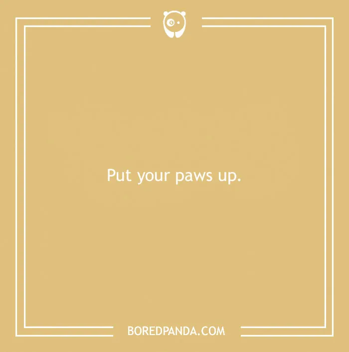197 Funny Dog Puns to Honor the Pup-arazzi Worthy Furballs