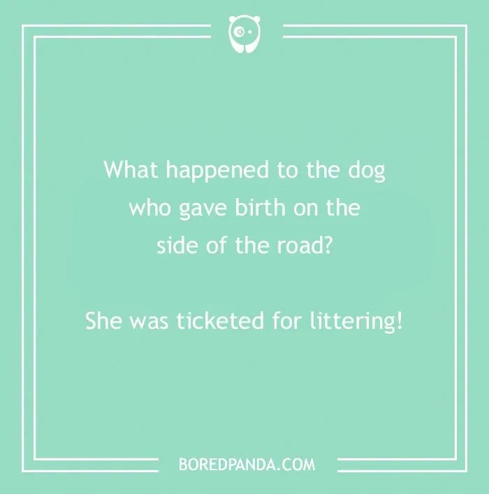 197 Funny Dog Puns to Honor the Pup-arazzi Worthy Furballs
