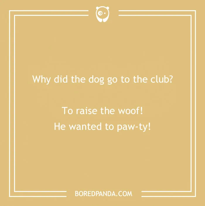 197 Funny Dog Puns to Honor the Pup-arazzi Worthy Furballs