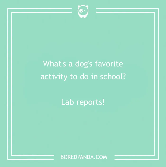 197 Funny Dog Puns to Honor the Pup-arazzi Worthy Furballs