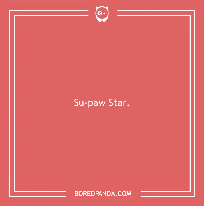 197 Funny Dog Puns to Honor the Pup-arazzi Worthy Furballs