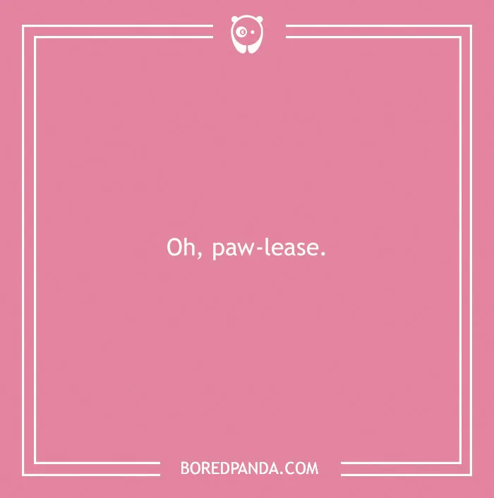 197 Funny Dog Puns to Honor the Pup-arazzi Worthy Furballs