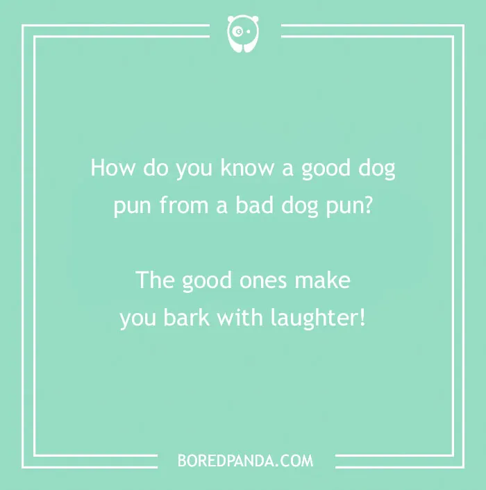197 Funny Dog Puns to Honor the Pup-arazzi Worthy Furballs