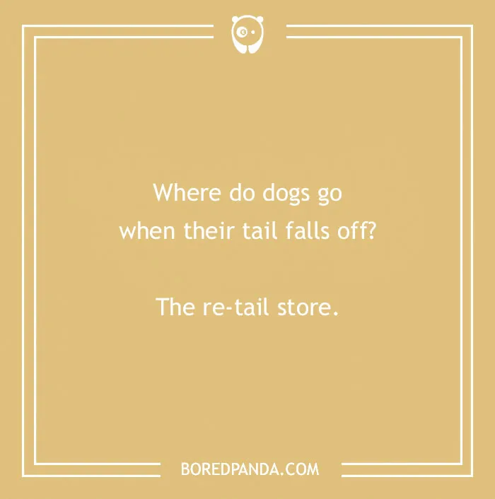 197 Funny Dog Puns to Honor the Pup-arazzi Worthy Furballs