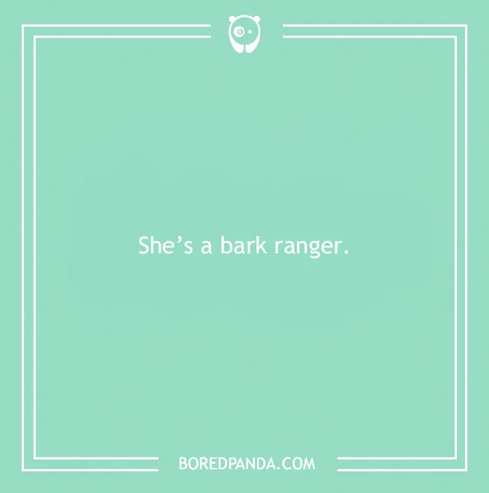 197 Funny Dog Puns to Honor the Pup-arazzi Worthy Furballs