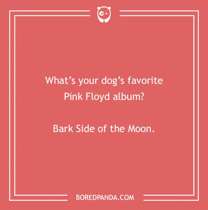 197 Funny Dog Puns to Honor the Pup-arazzi Worthy Furballs