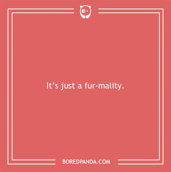 197 Funny Dog Puns to Honor the Pup-arazzi Worthy Furballs