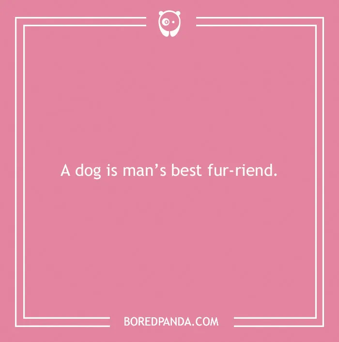 197 Funny Dog Puns to Honor the Pup-arazzi Worthy Furballs
