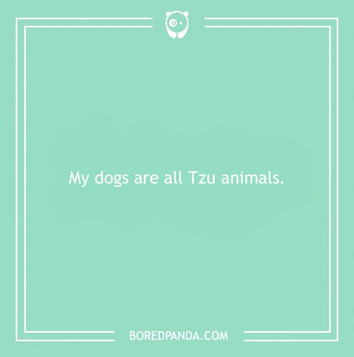 197 Funny Dog Puns to Honor the Pup-arazzi Worthy Furballs