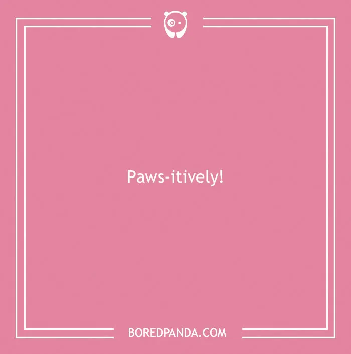 197 Funny Dog Puns to Honor the Pup-arazzi Worthy Furballs