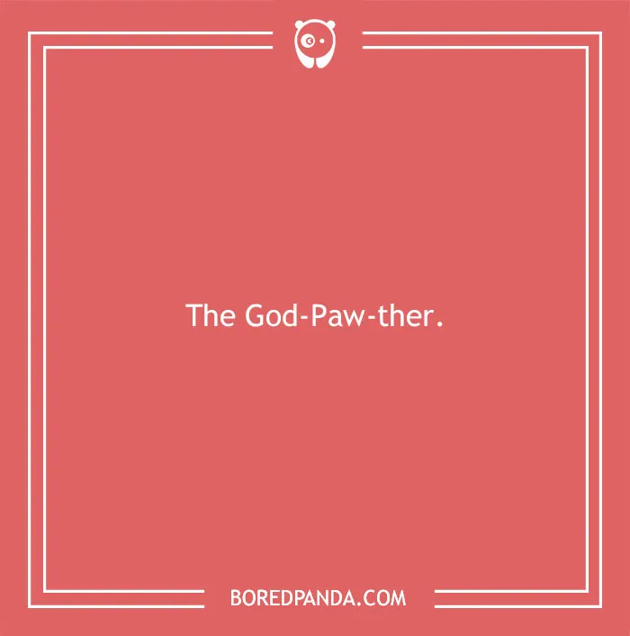 197 Funny Dog Puns to Honor the Pup-arazzi Worthy Furballs