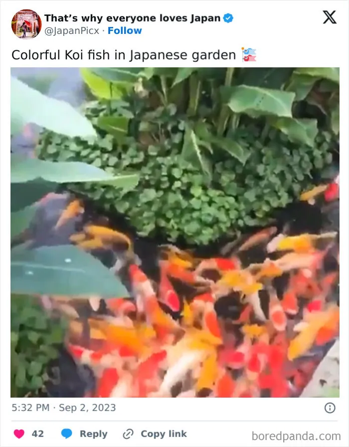 26 Cool Posts About All Things Japan That Prove It's A Country Like No Other