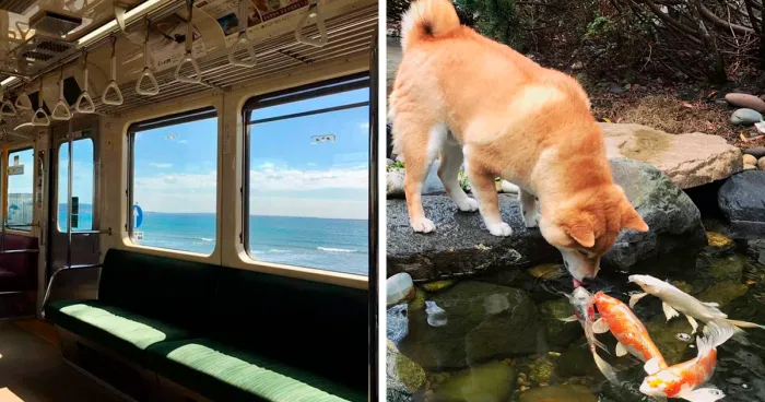 26 Cool Posts About All Things Japan That Prove It's A Country Like No Other