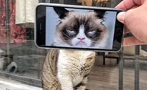 I Combine Ordinary Objects With Pics On My Phone To Make Them Look Extraordinary (16 New Pics)