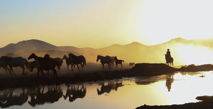 40 Fascinating Facts About Ancient Egypt To Dig Through