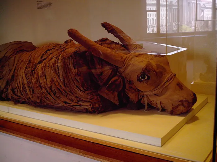 40 Fascinating Facts About Ancient Egypt To Dig Through
