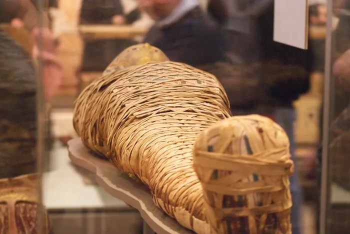 Mummy in a museum