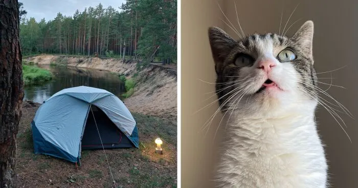 Hey Pandas, Share A Picture Of Your Perfect Weekend (Closed)