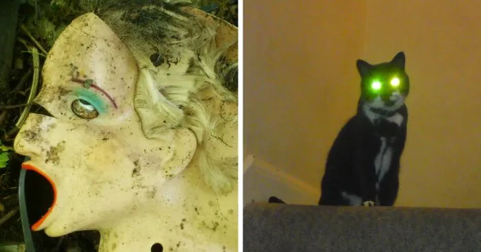 Disconcerting Images (6 Pics)