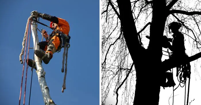 Rope Access Is My Daily Job, I Often Take A Camera With Me To Work, Here's What I Captured (21 Pics)