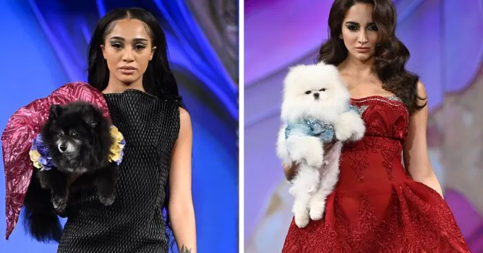 Pets Rule The Catwalk At New York Fashion Week (23 Pics)