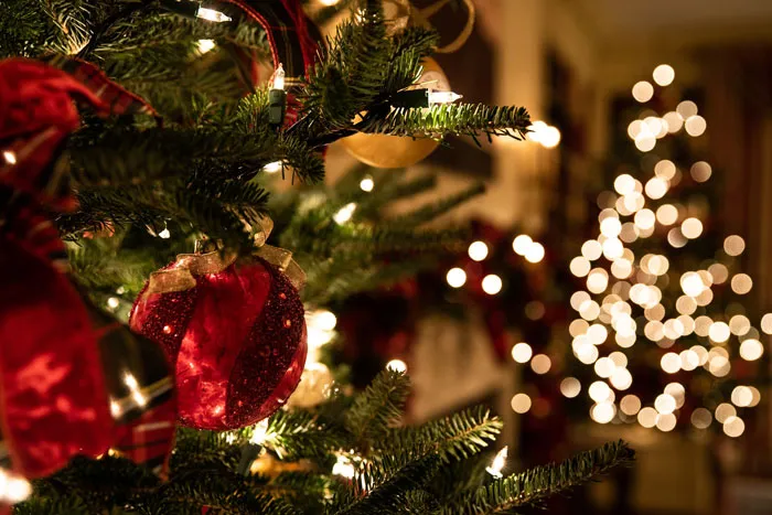 Fun Christmas Facts To Unwrap Under The Christmas Tree