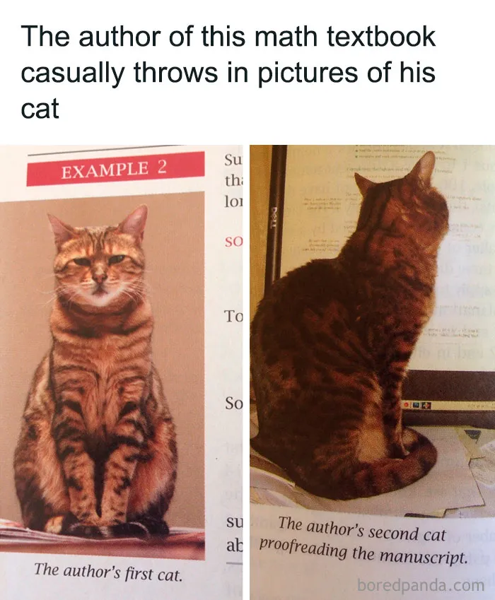 Wholesome Math Book