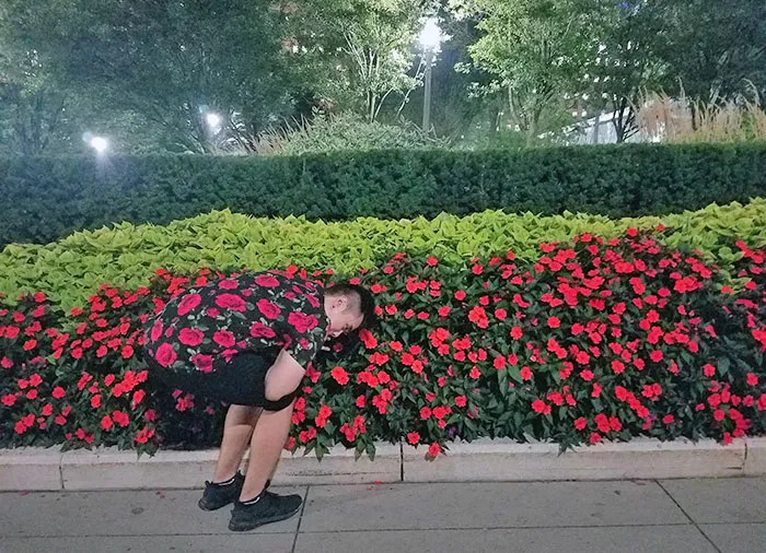 My Shirt Perfectly Camouflages Me In This Bed Of Flowers