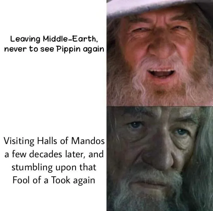Middle Earth meme with two images of a bearded character, one happy and one serious, highlighting a humorous moment.