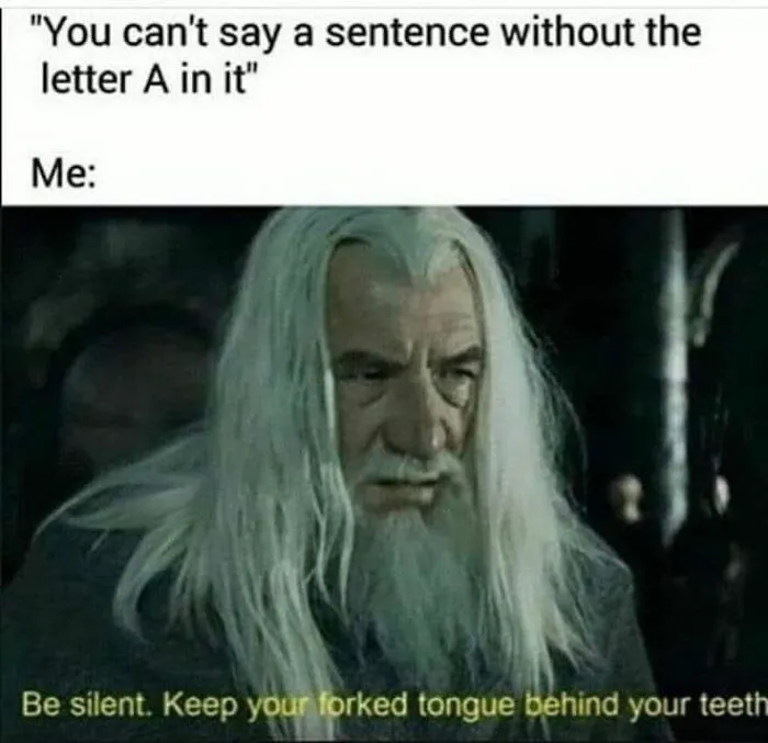 Wizard meme with Middle Earth dialogue: "Be silent. Keep your forked tongue behind your teeth."