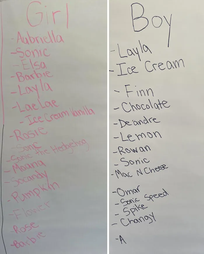 I’m A Pre-K Teacher And Asked My Students For Name Suggestions. They Did Not Disappoint