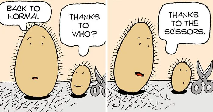 Inspired By Quirky Life Events, I Created The “2 Hairy Potatoes” Comic Series