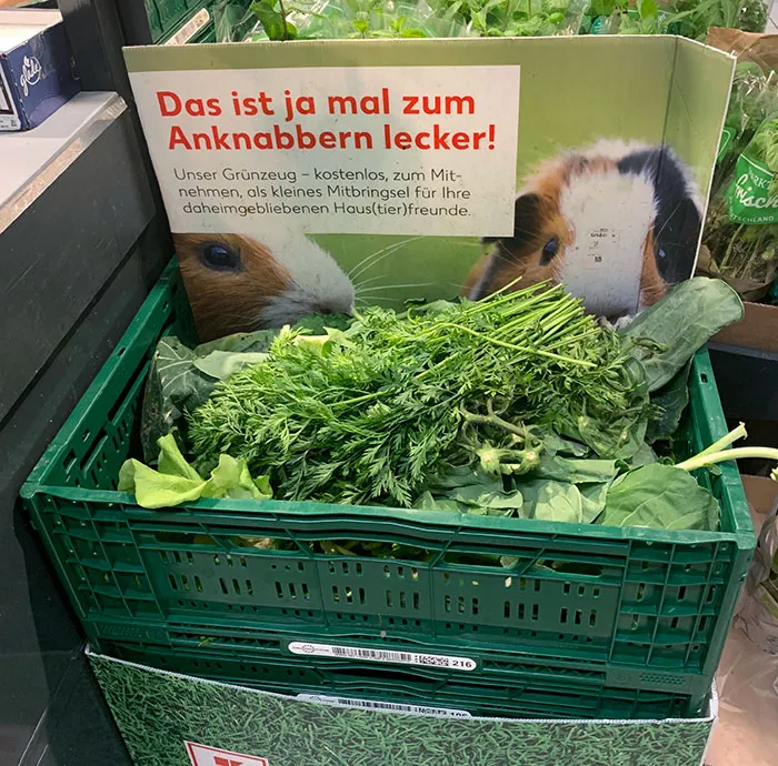 Verduras gratis para mascotas