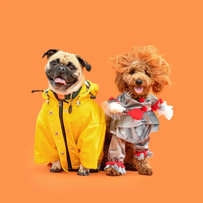 Georgie And Pennywise