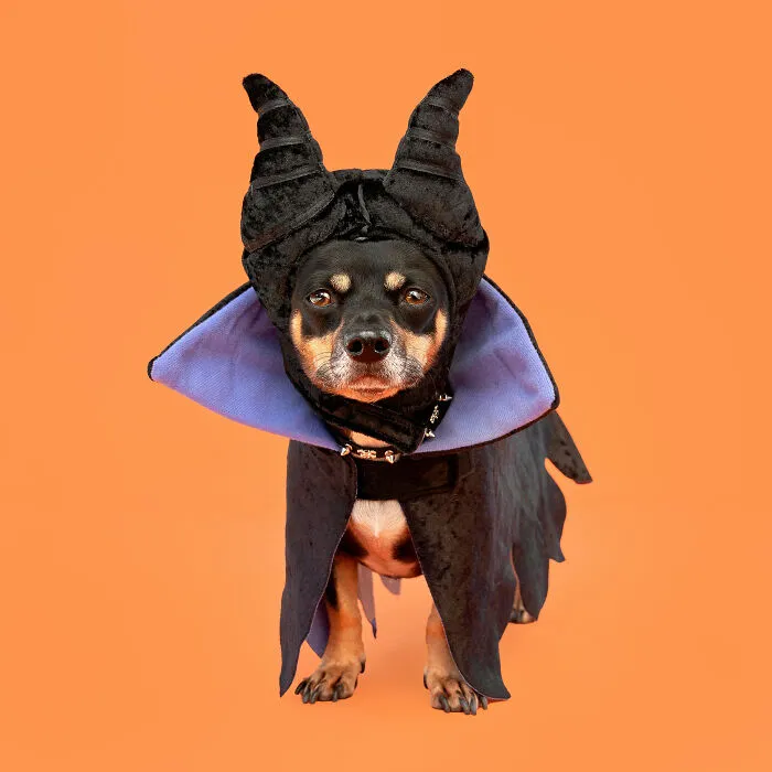 Maleficent From Sleeping Beauty