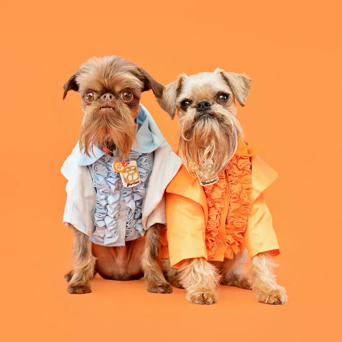 Lloyd And Harry From Dumb And Dumber