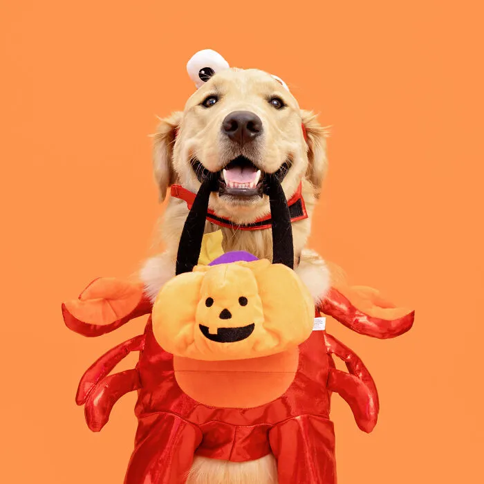Crab