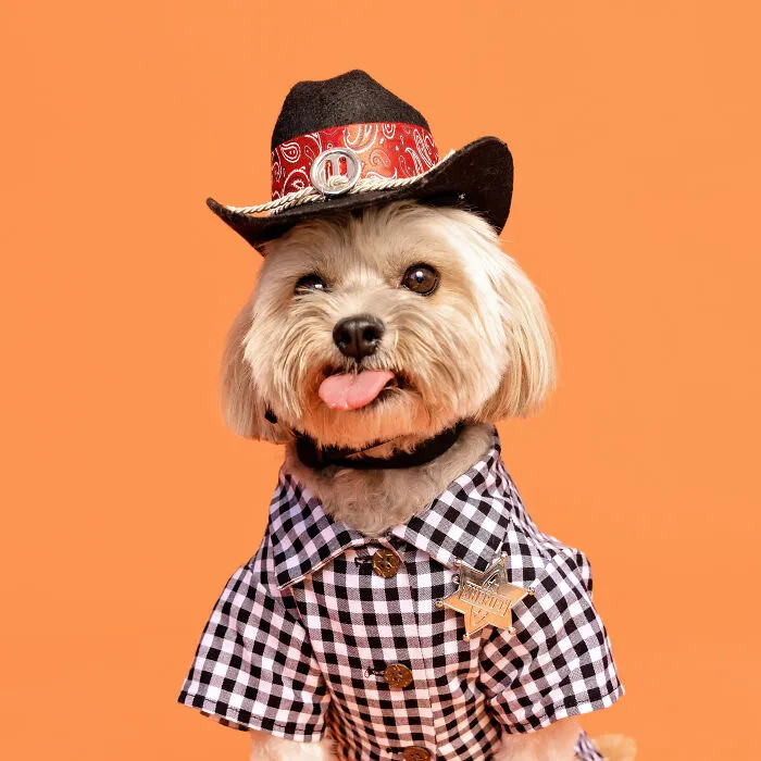 Cowboy