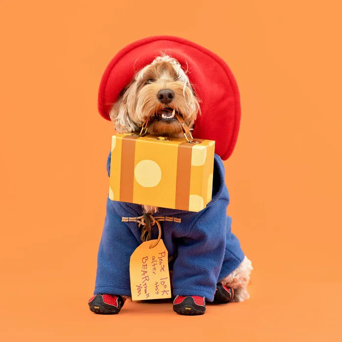 Paddington Bear