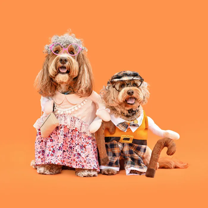 Cute Old Couple