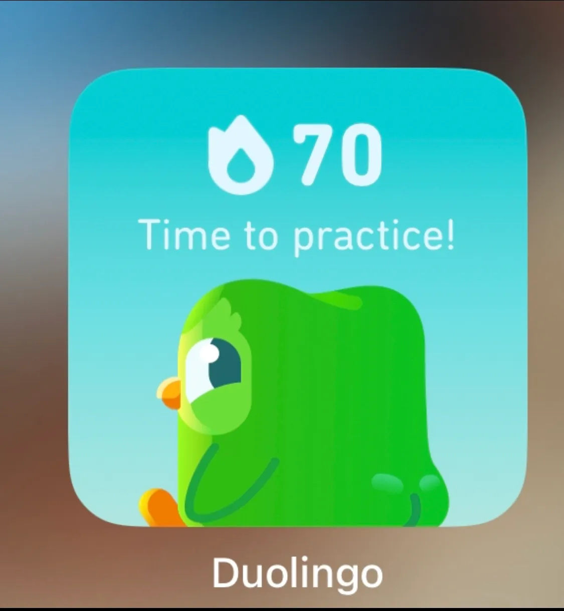 Hey Pandas, Show Us Something Weird Or Funny In Duolingo