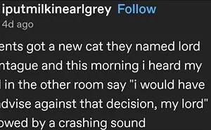 50 Cat Memes That May Make You Wish You Could Tag Your Kitty