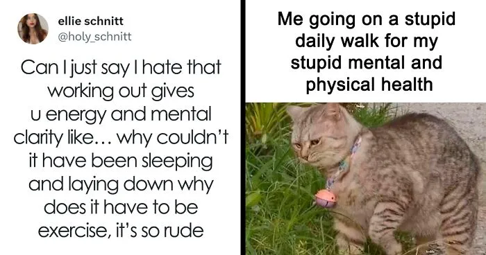 50 Painfully Relatable “Sarcasm Only” Memes To Enjoy While Things Fall Apart (New Pics)