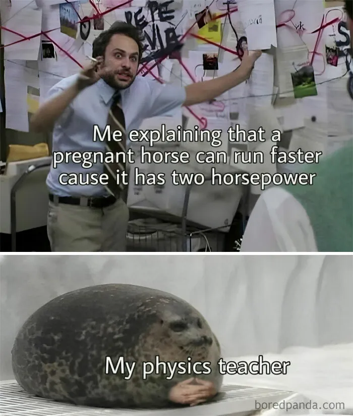 Person passionately explaining with a wall chart, paired with a seal labeled "My physics teacher"; funny meme for pun enthusiasts.