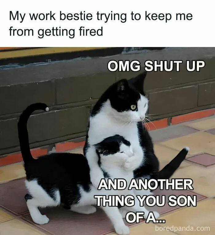 45 Hilarious Work Memes To Look At While You’re Pretending To Be Productive (New Pics)