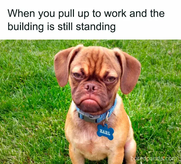 45 Hilarious Work Memes To Look At While You’re Pretending To Be Productive (New Pics)