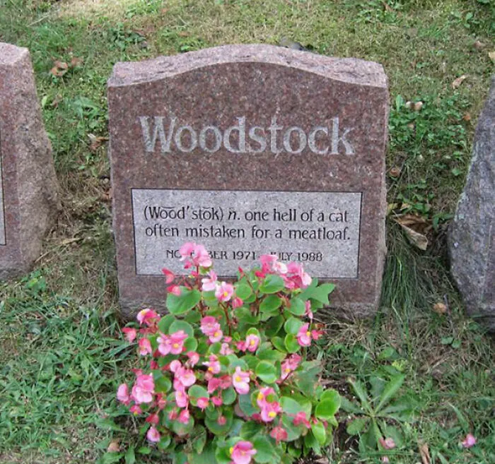 Pet Cemetery